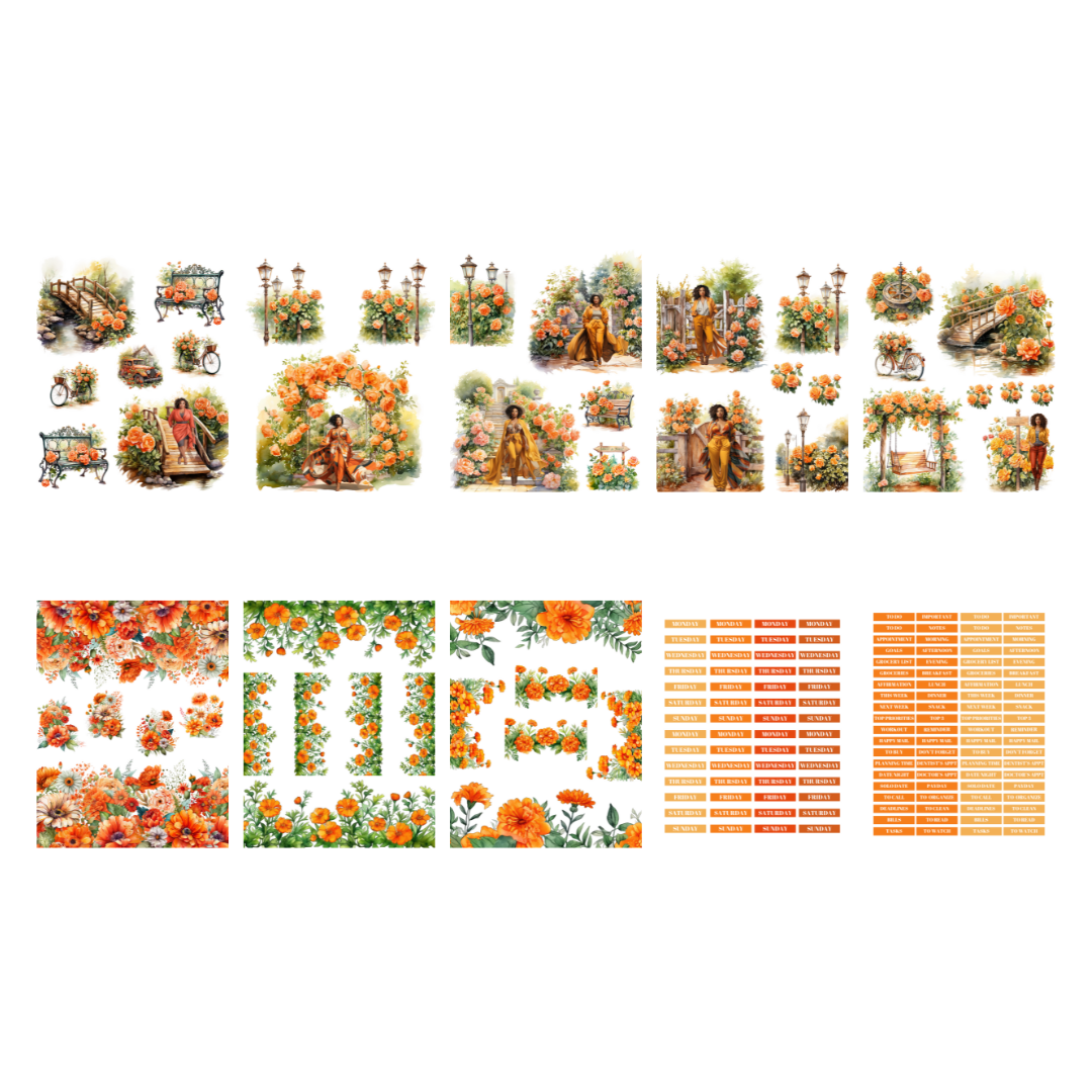 The Art of Becoming: Shades of Orange